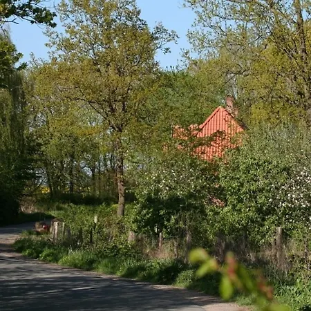 Bellevue Rechts Schashagen