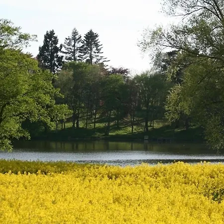 Bellevue Rechts