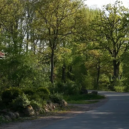 Bellevue Rechts Schashagen