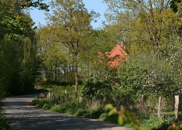 Bellevue Rechts Schashagen