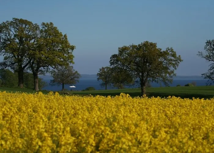 Apartamento Bellevue Rechts *